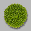 Хриз. Tr Deligreen