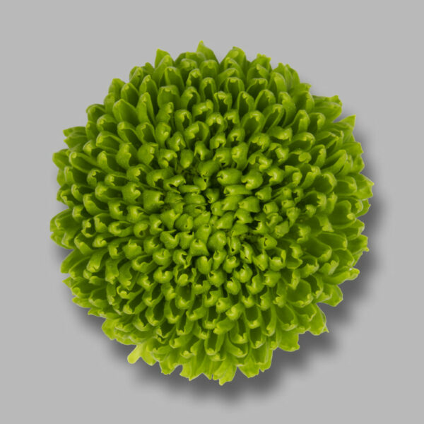 Хриз. Tr Deligreen