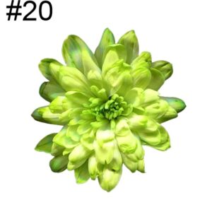 Краска для срезанных цветов, 0,275л., №20, фисташковый