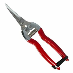 Секатор-ножницы для флористов MC-31, 16,7см, лезвие 3см (нержавеющая сталь X30Cr13)