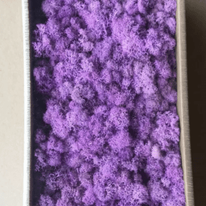 Мох Леукобриум, 500 гр/короб, фуксия