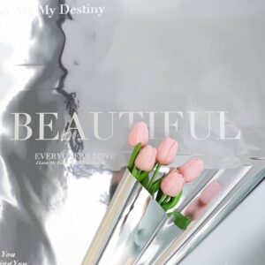 Пленка матовая  30мкм 58см х 10м РЦ Beautiful на серебре надпись белый