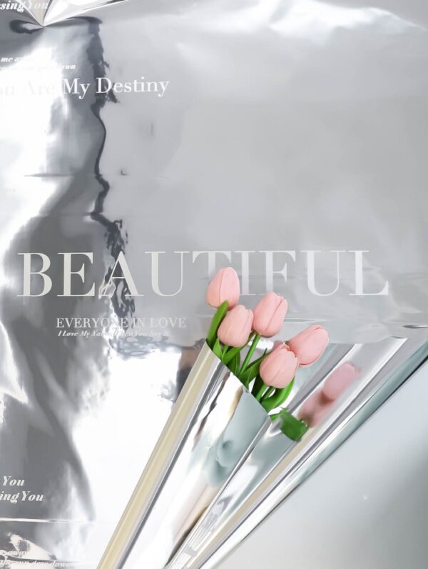 Пленка матовая  30мкм 58см х 10м РЦ Beautiful на серебре надпись белый