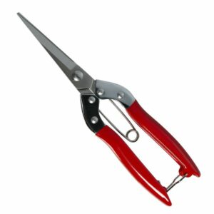 Секатор-ножницы для флористов MC-38, 22см, лезвие 9см  (нержавеющая сталь X30Cr13)