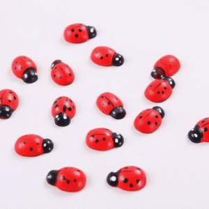 Липучка Божья коровка 24шт. Biedronka 2 (1,5см)