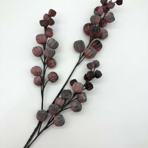 Иск. Тыква кустовая, красная