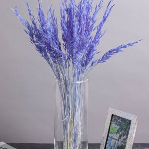 ИЦ Овес 30шт 60см лаванда