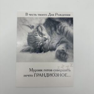 Открытка 16,5*12,5см, 5шт/уп., "В честь твоего ДР" Мурзик.