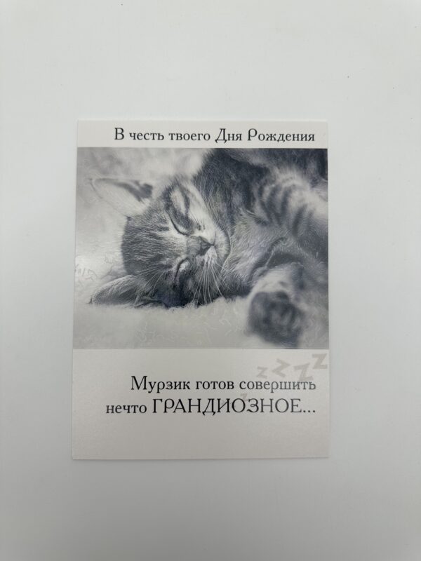 Открытка 16,5*12,5см, 5шт/уп., "В честь твоего ДР" Мурзик.